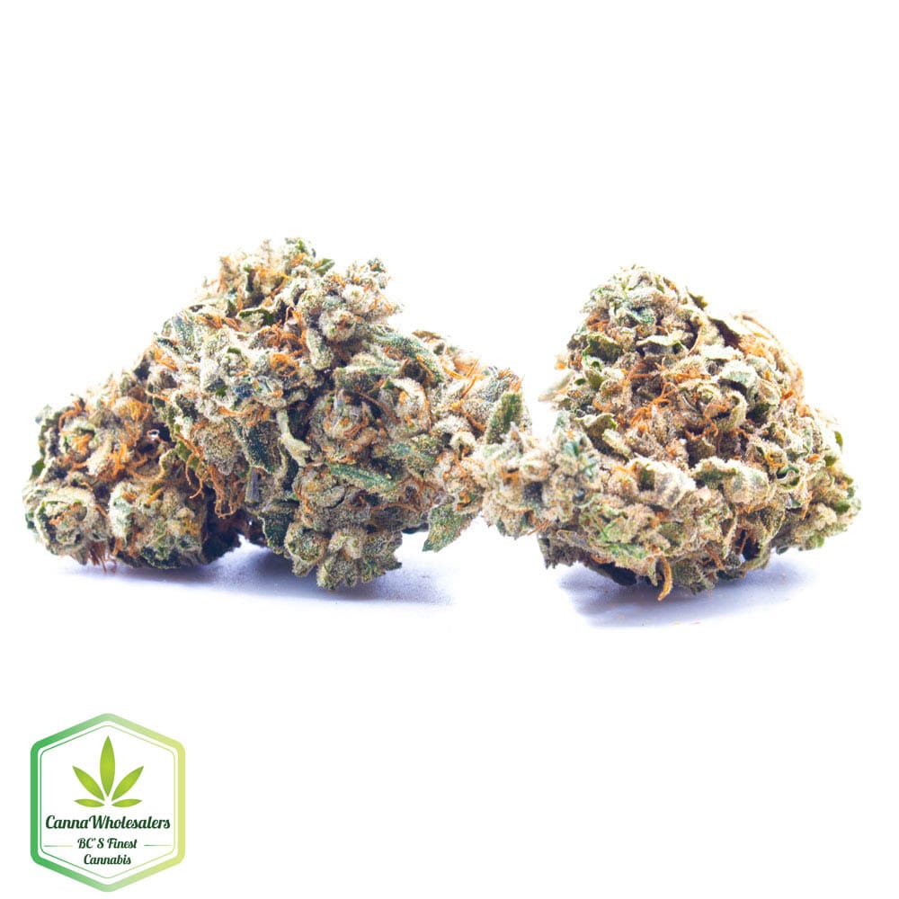Cookie Glue