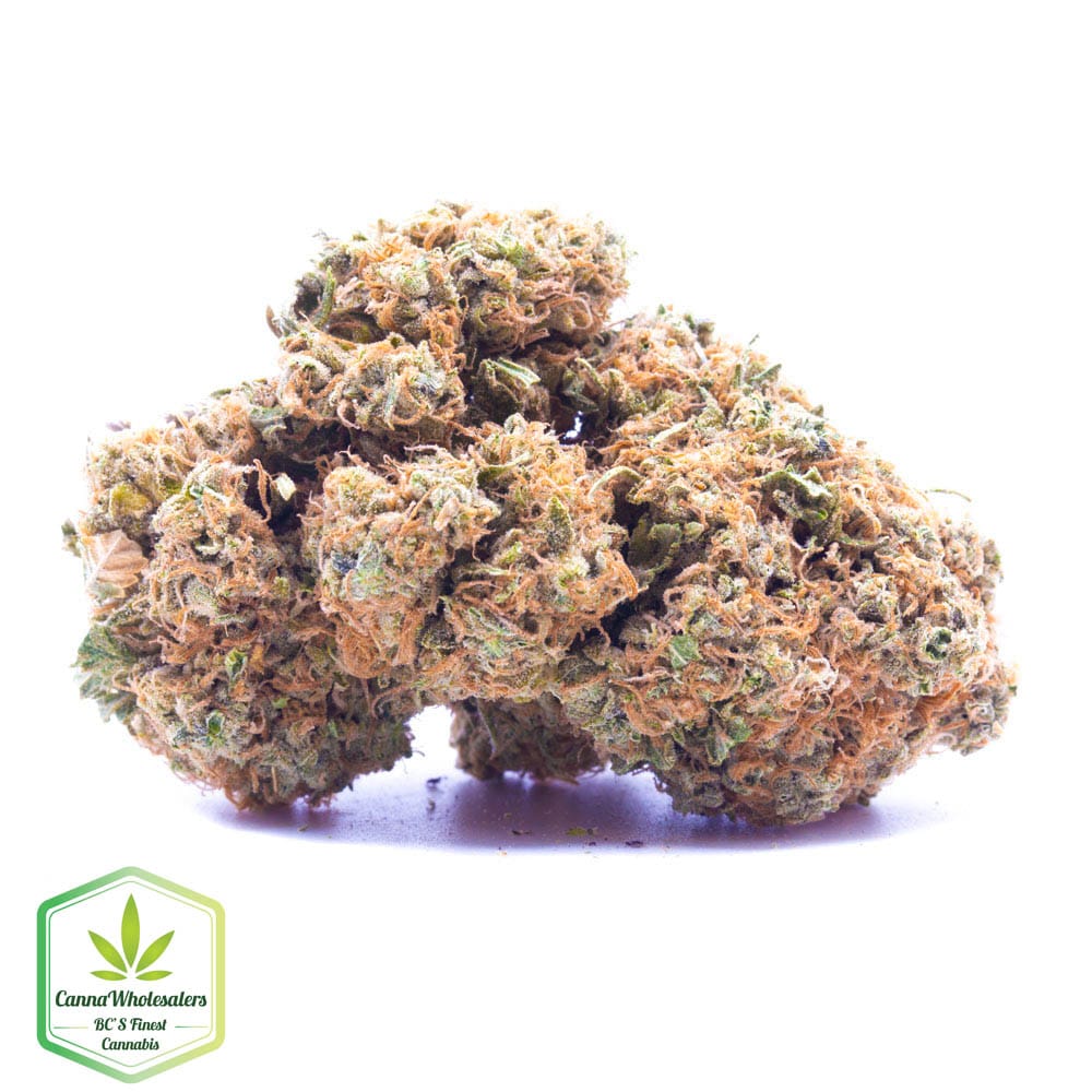 Orange Cookies