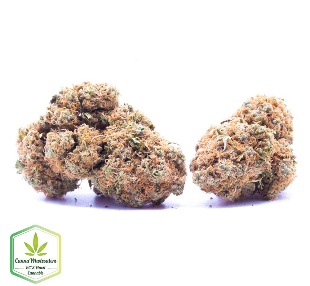 Orange Cookies