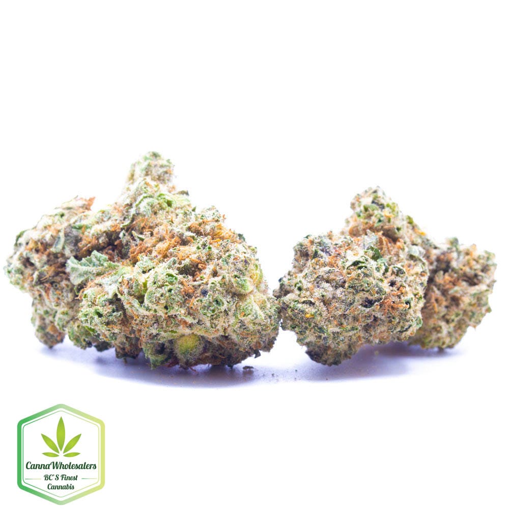 Budget Oz – Mochi