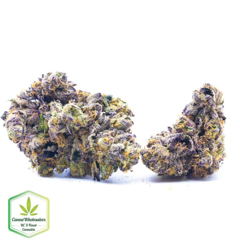 Budget Oz – Silver Blaze – Craft Gardens