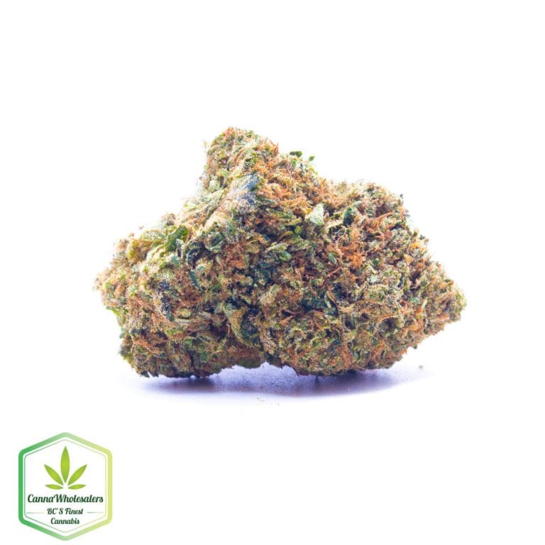 Tuna Kush