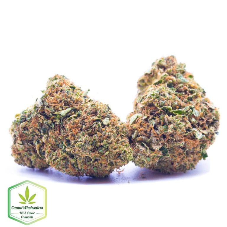 Budget Oz – Tuna Kush