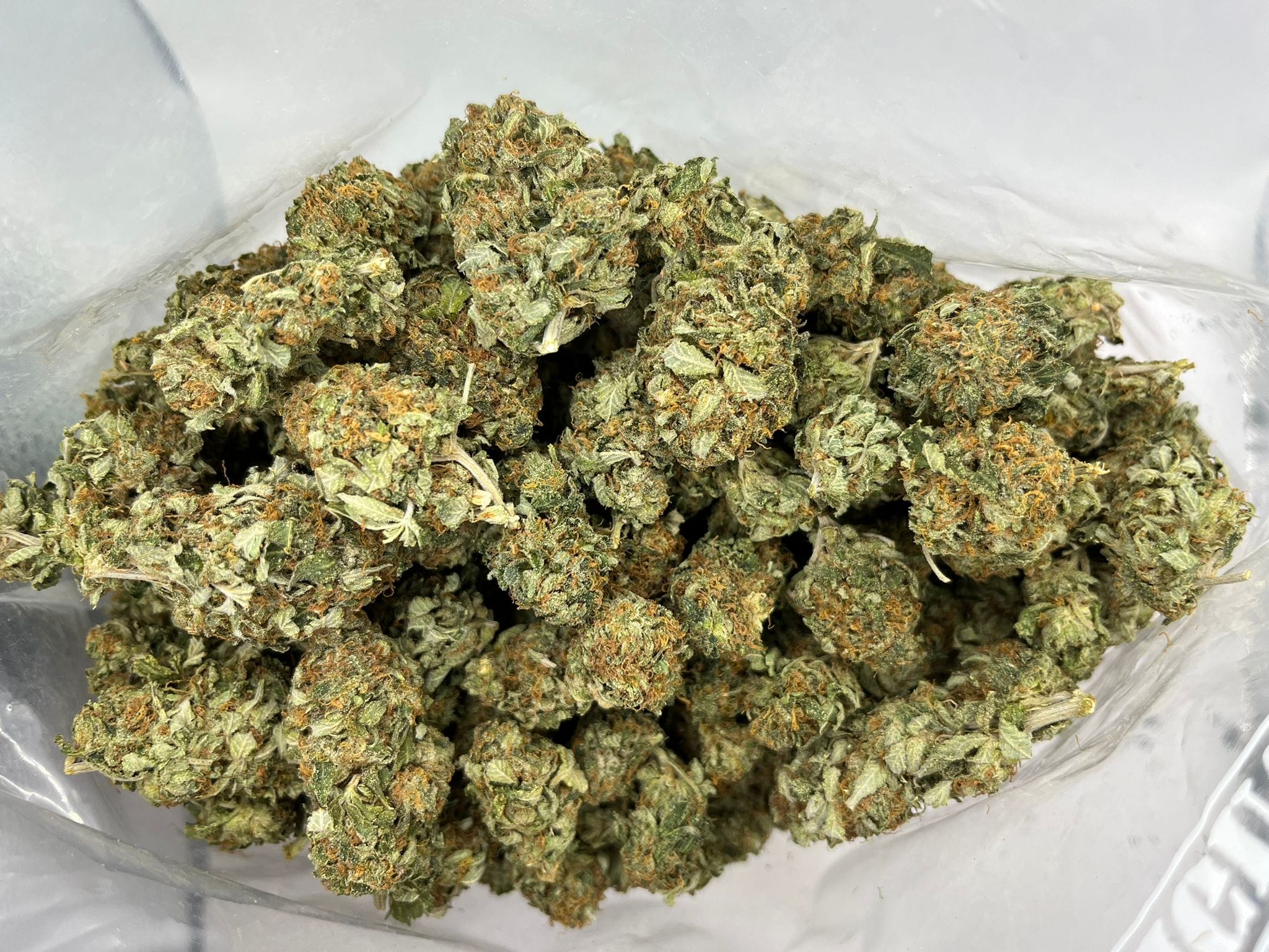 Sensi Star