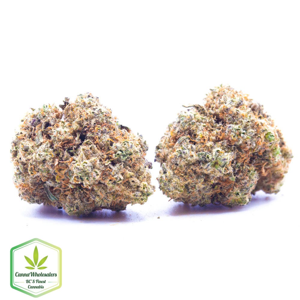 Budget Oz – Cake Bomb