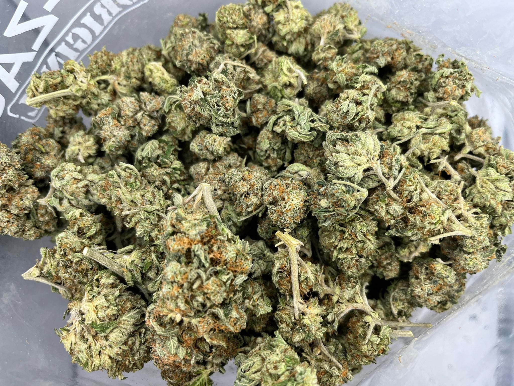 Tangerine Dream