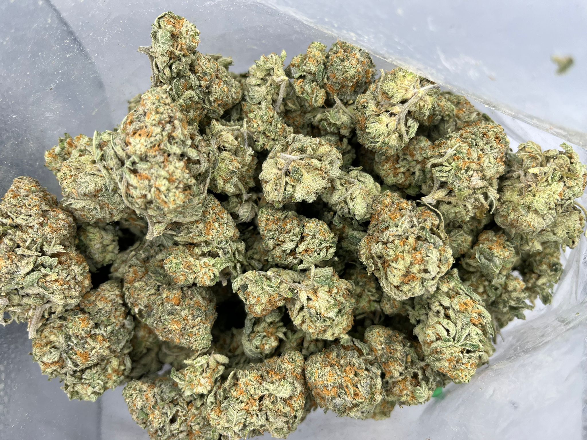 Mother’s Finest