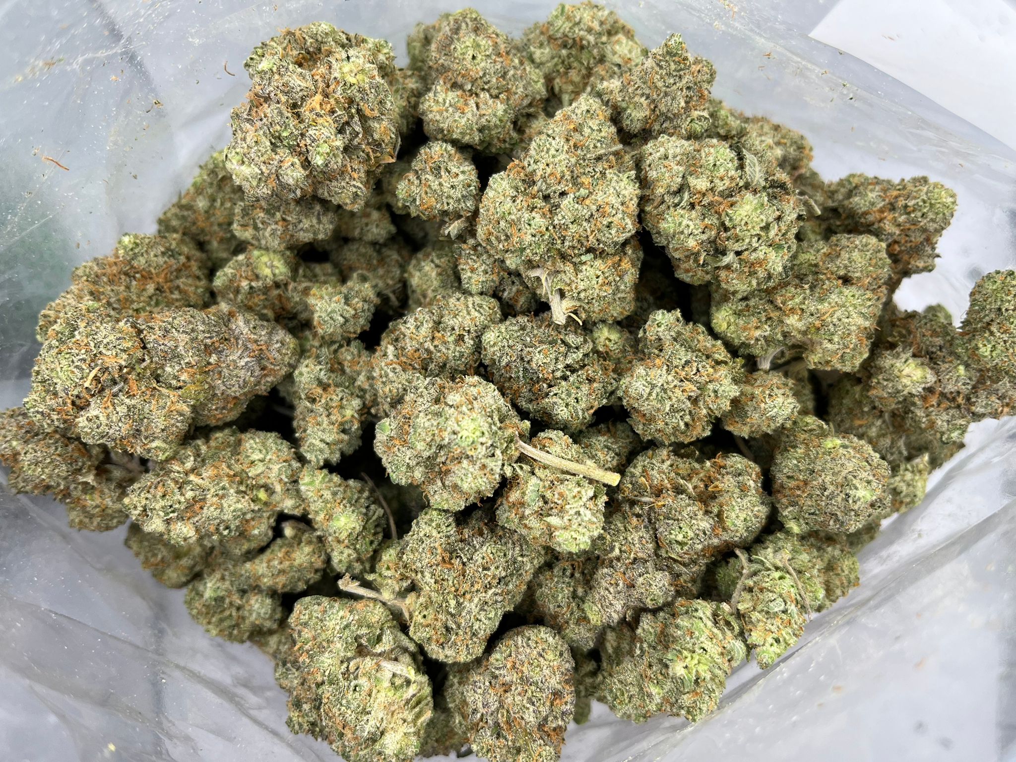 Blue Monster