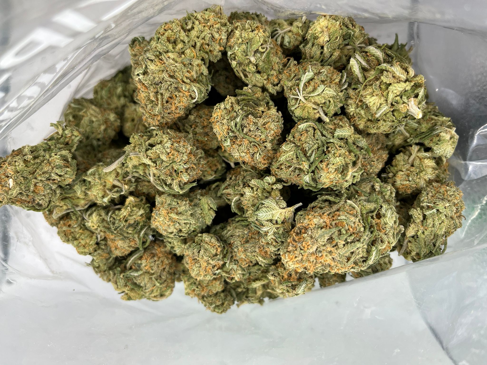 Budget Oz – NY Cheese