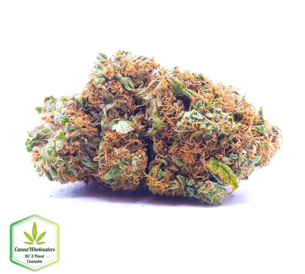 Peyote Cookies