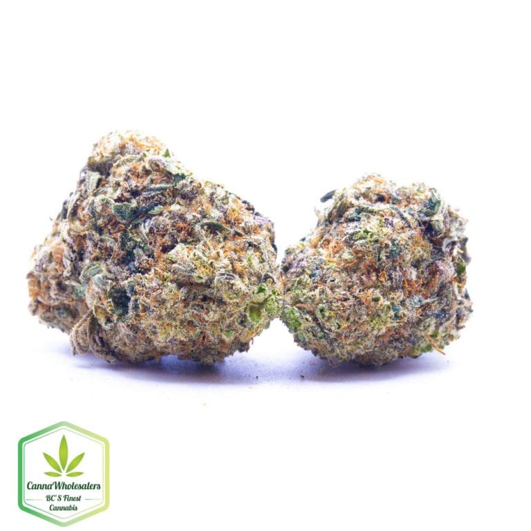 Budget Oz – Fire Haze