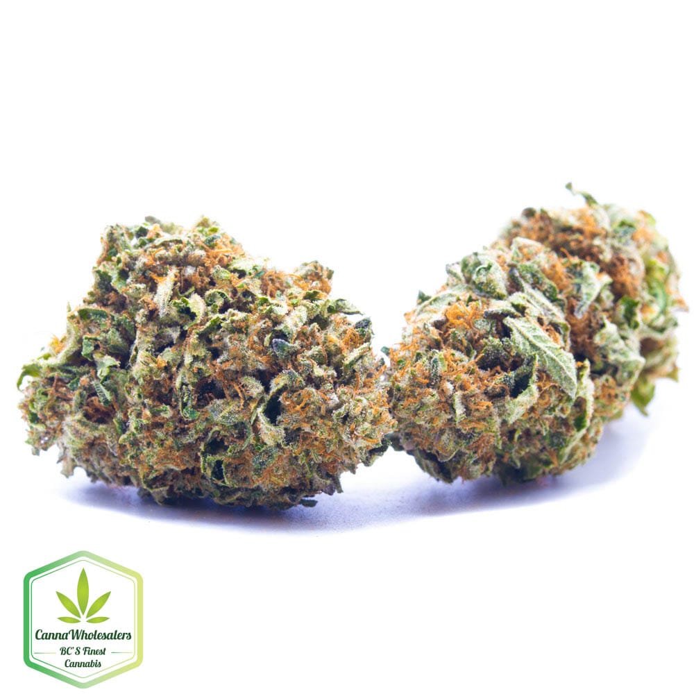 Tangerine Dream
