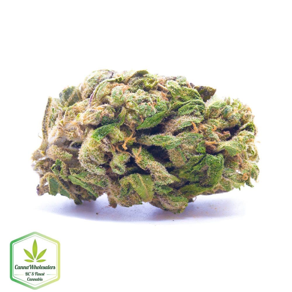 Burmese Kush