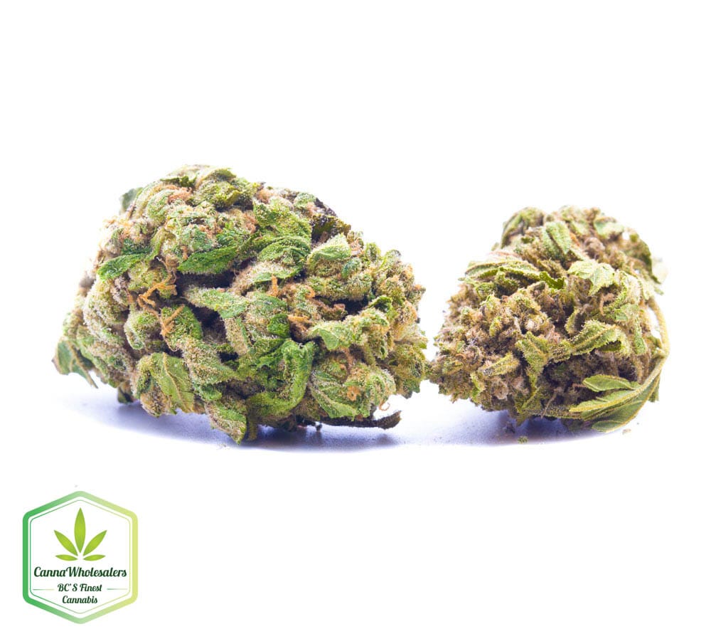 Burmese Kush