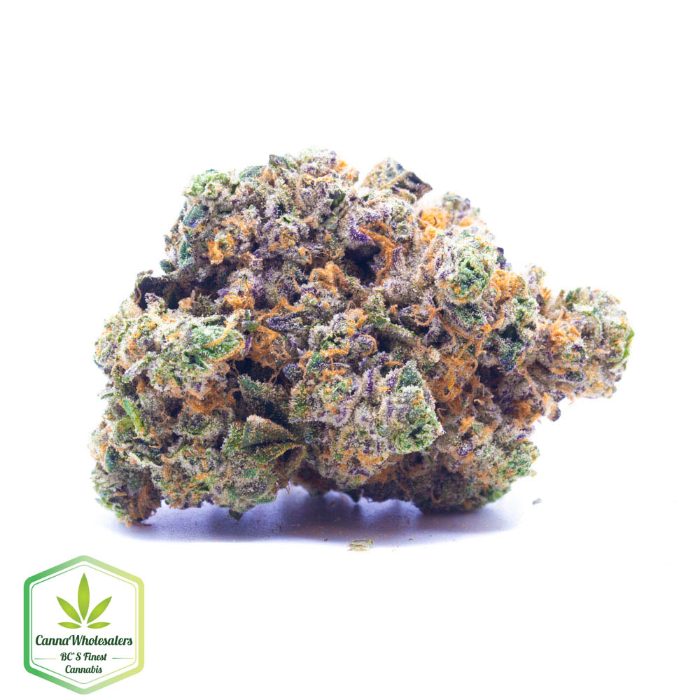 Purple Moby Dick – Craft Gardens