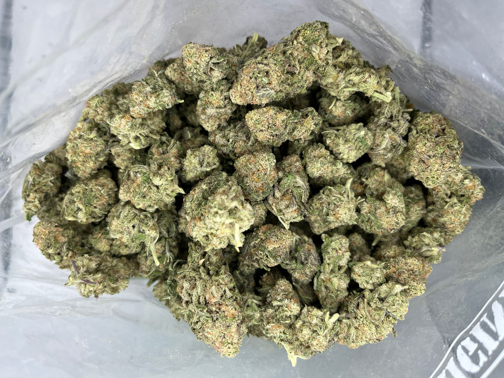 Sojay Haze