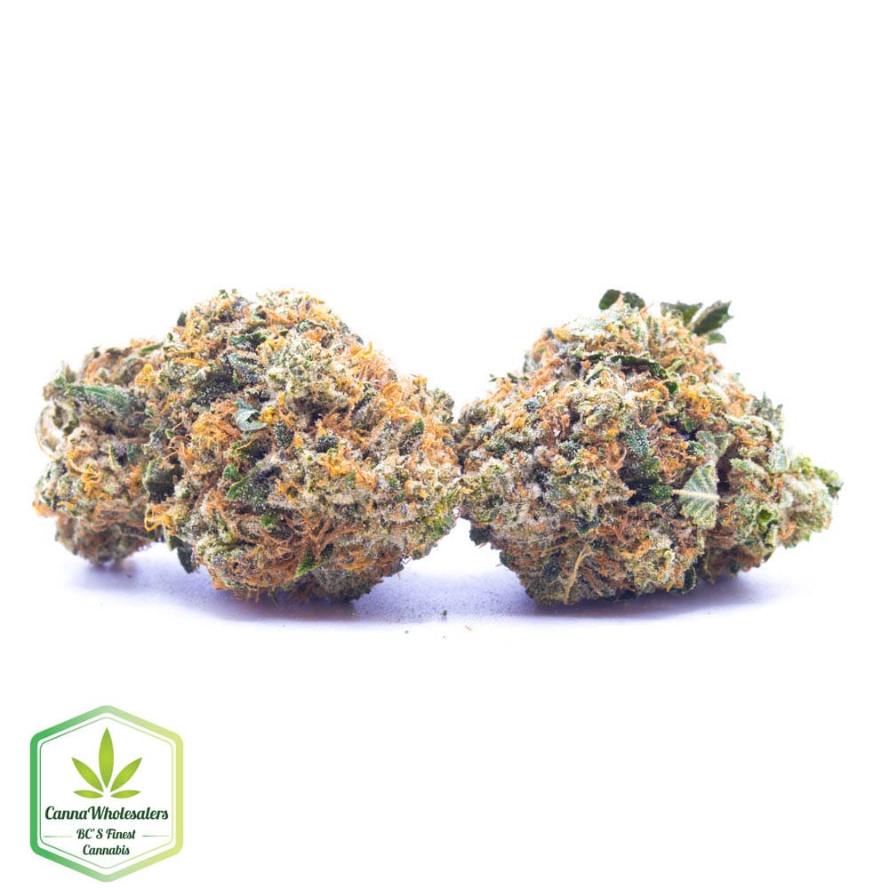 Budget Oz – Bakerstreet