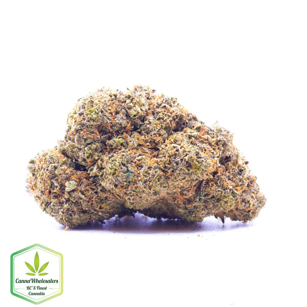 Gorilla Blue