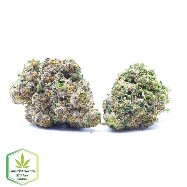 Budget Oz – Death Bubba