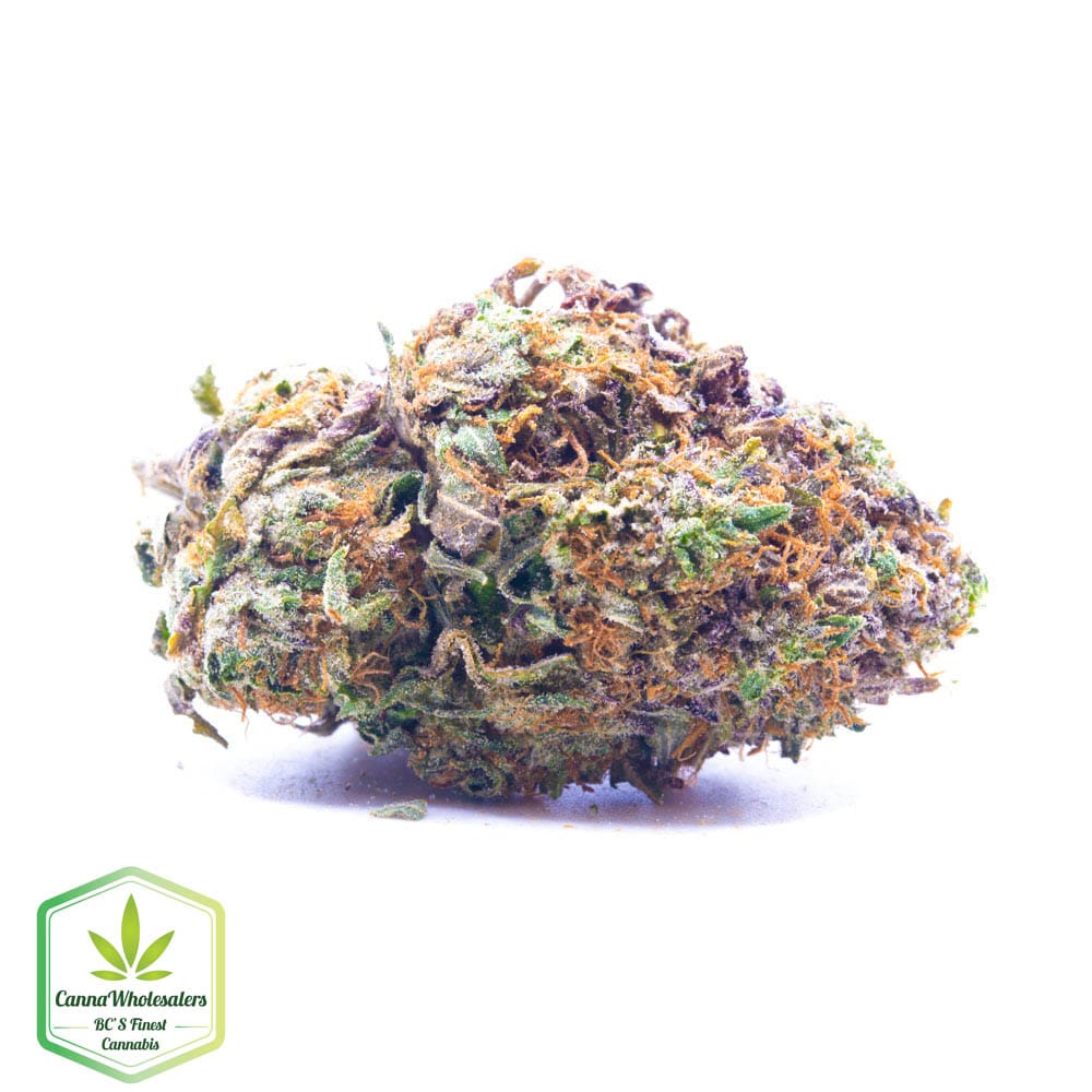 Buddha Tahoe