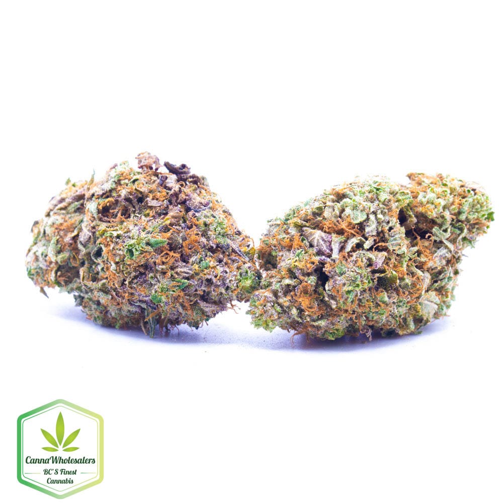 Buddha Tahoe