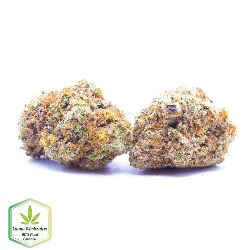 Budget Oz – Sky Master