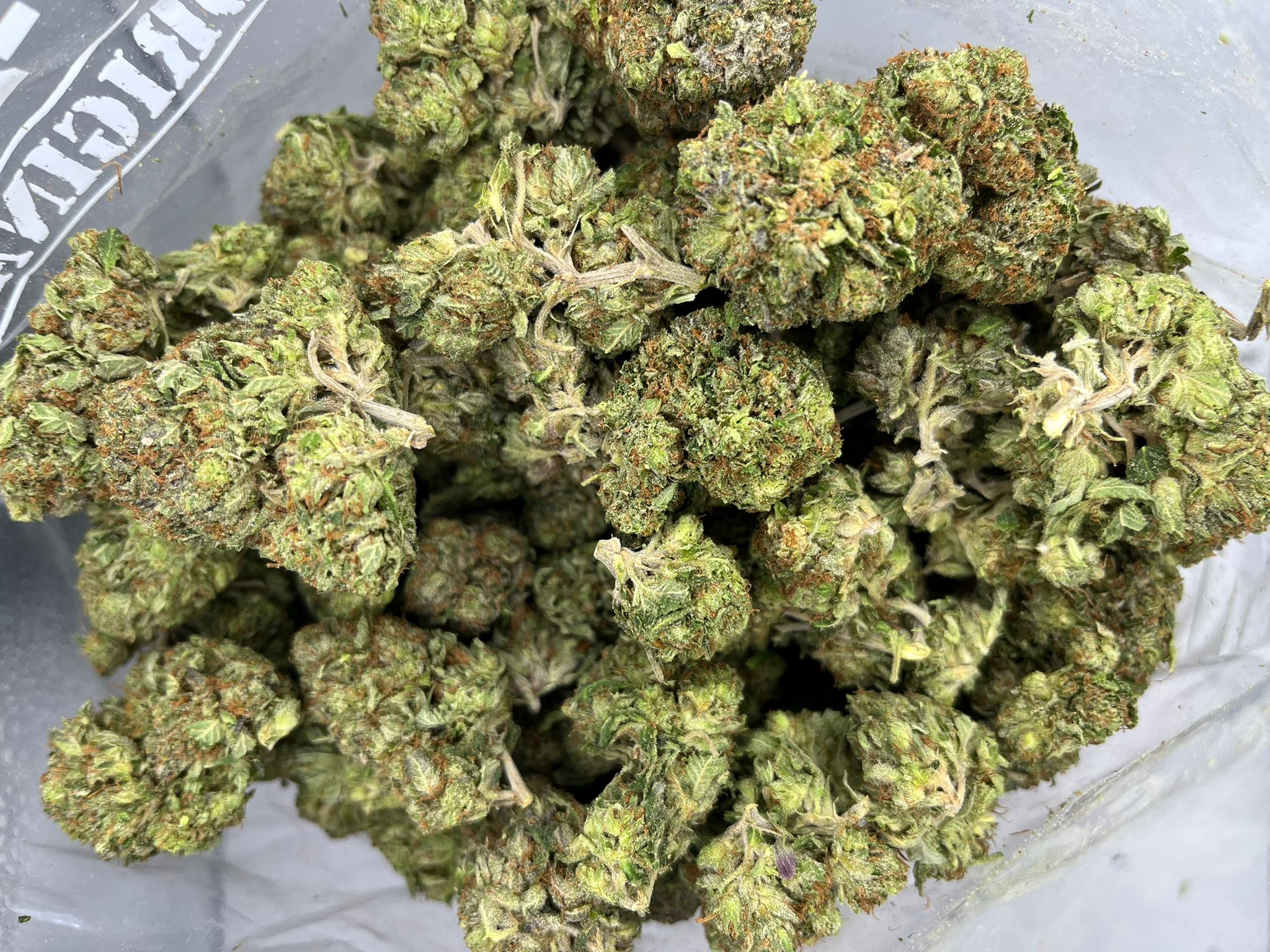 Budget Oz – Rockstar Kush