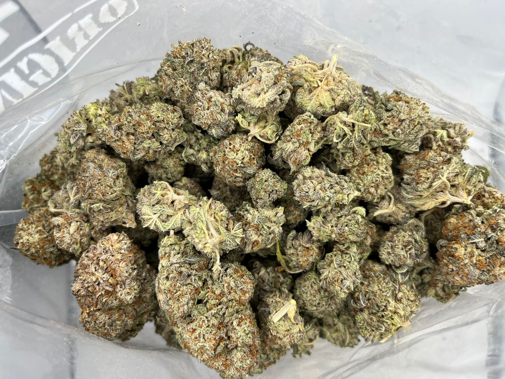 Gorilla Blue