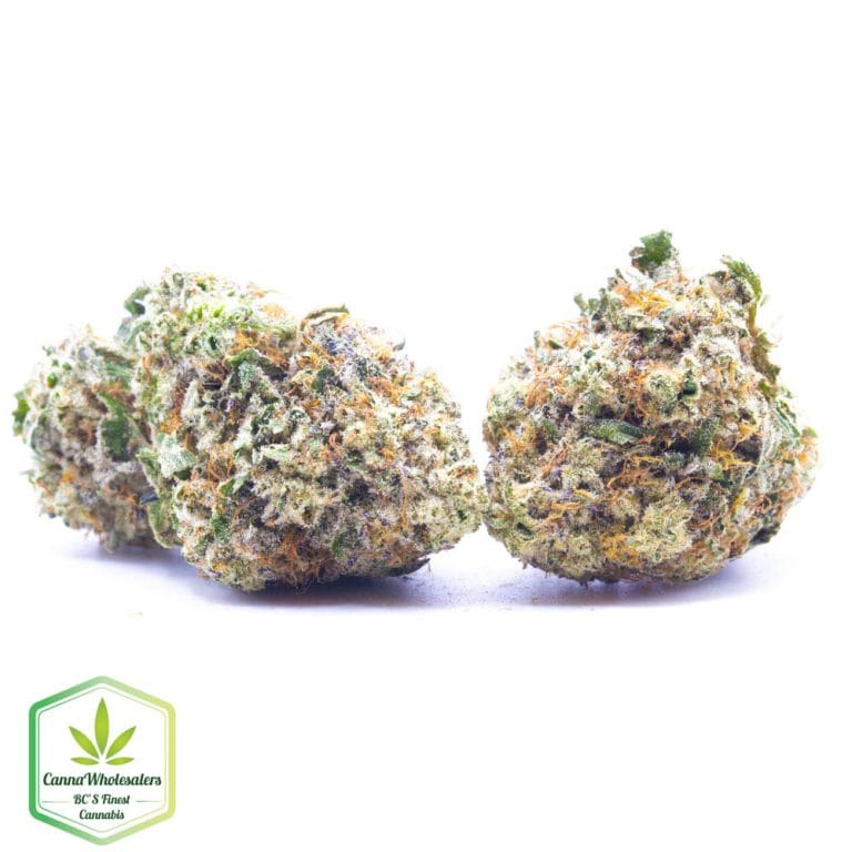 Budget Oz – Blackberry Diesel