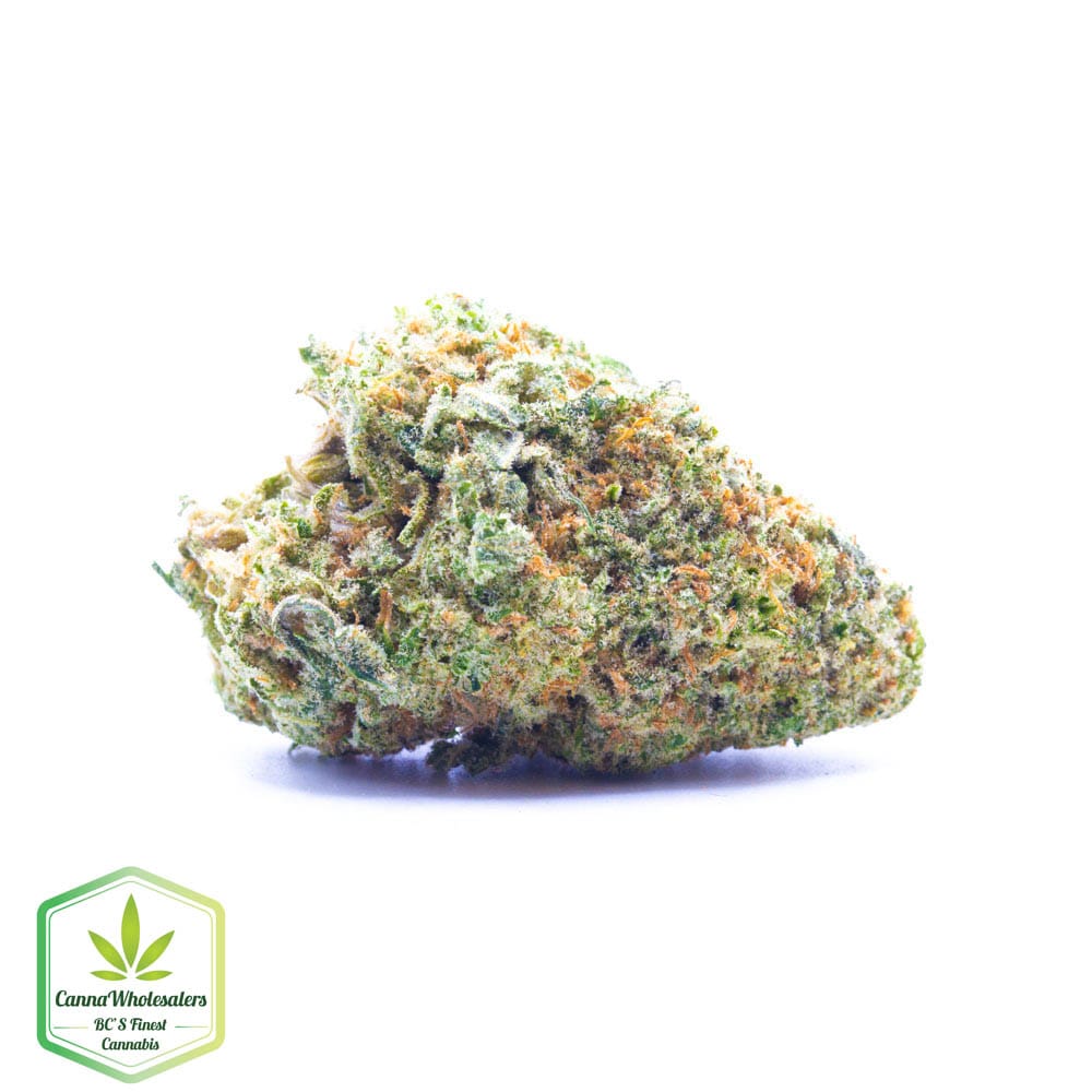 Cannawholesalers – Girl Scout Cookies
