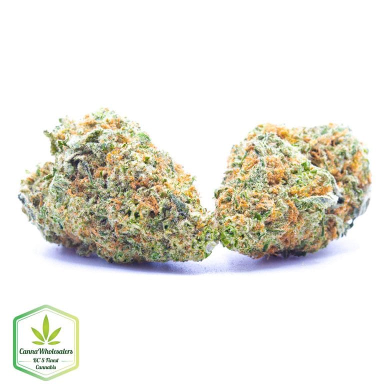 Budget Oz – Cannawholesalers – Girl Scout Cookies