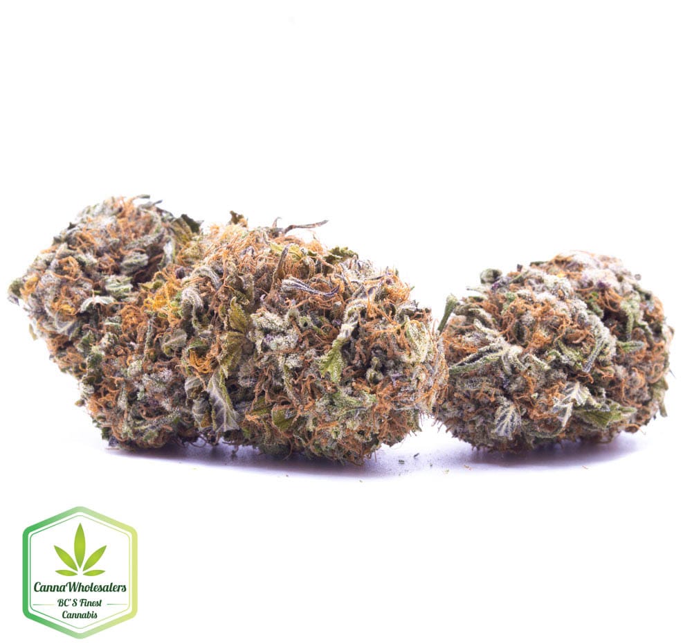 Budget Oz – Strawberry Blue