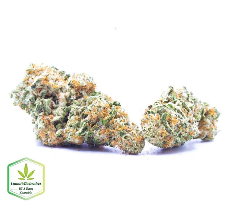 Budget Oz – Electric Kool Aid