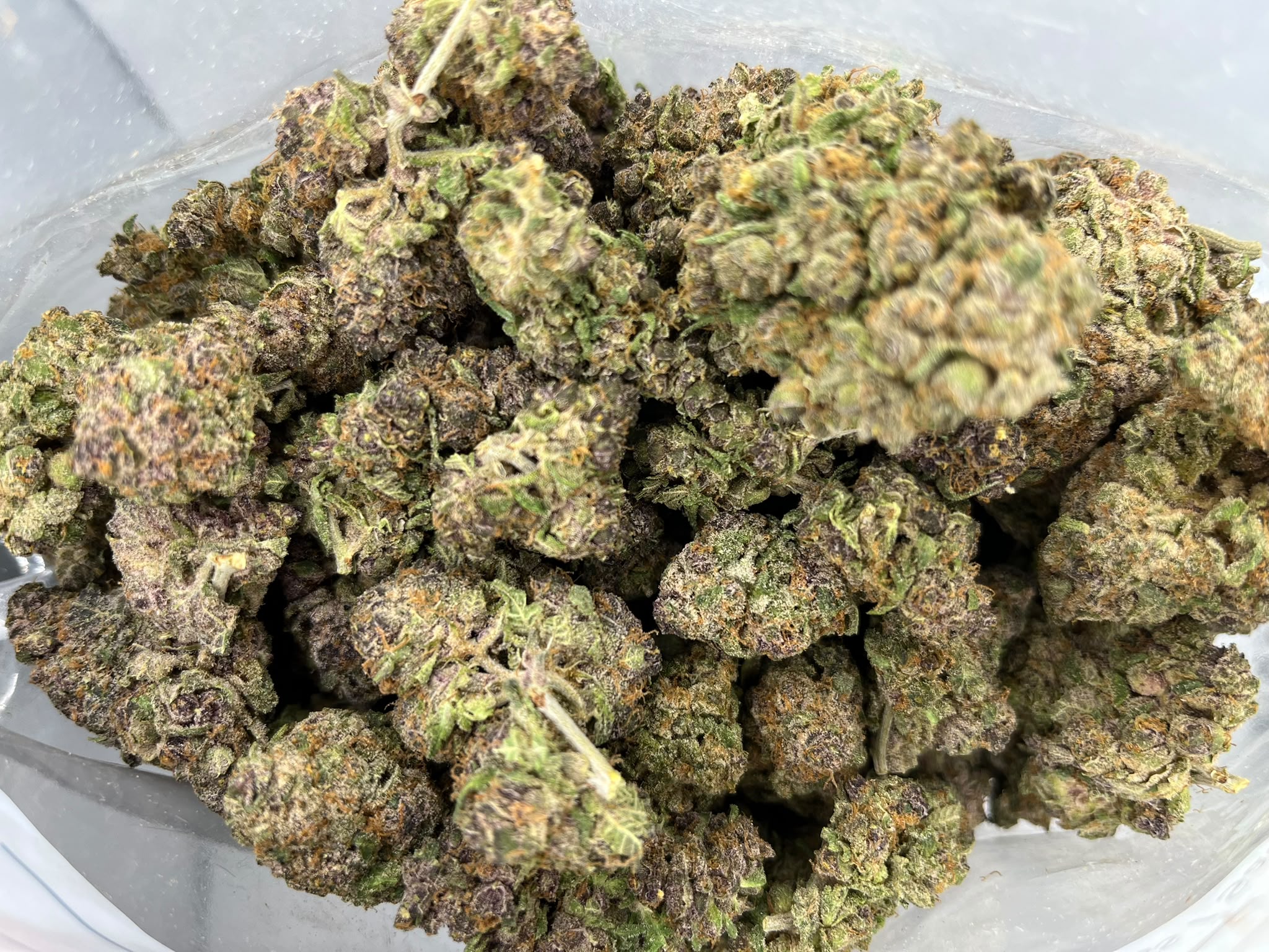 Budget Oz – Strawberry Blue