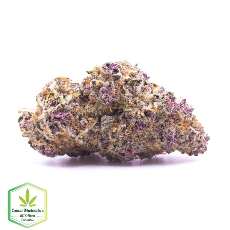 Hightimes Growery – Gobstopper