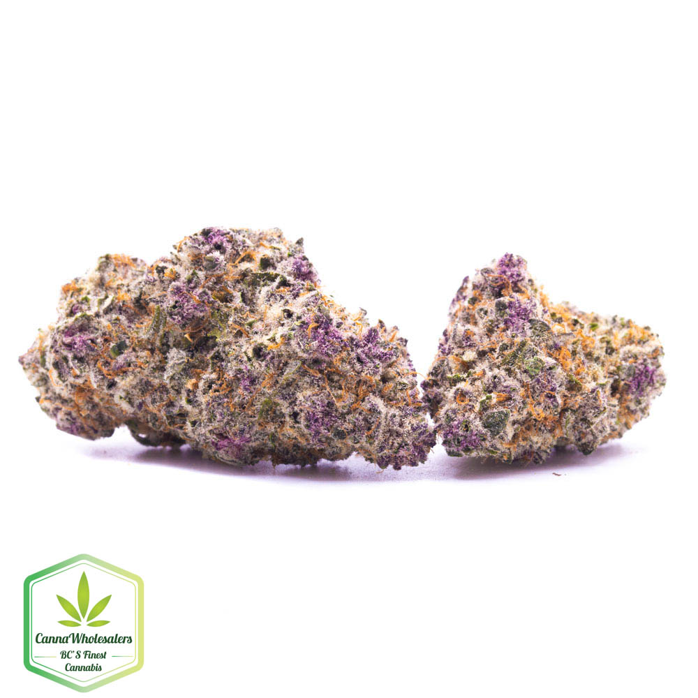 Hightimes Growery – Gobstopper