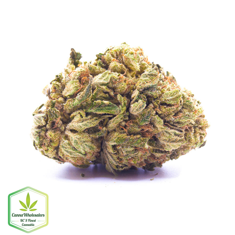 Sugar Kush