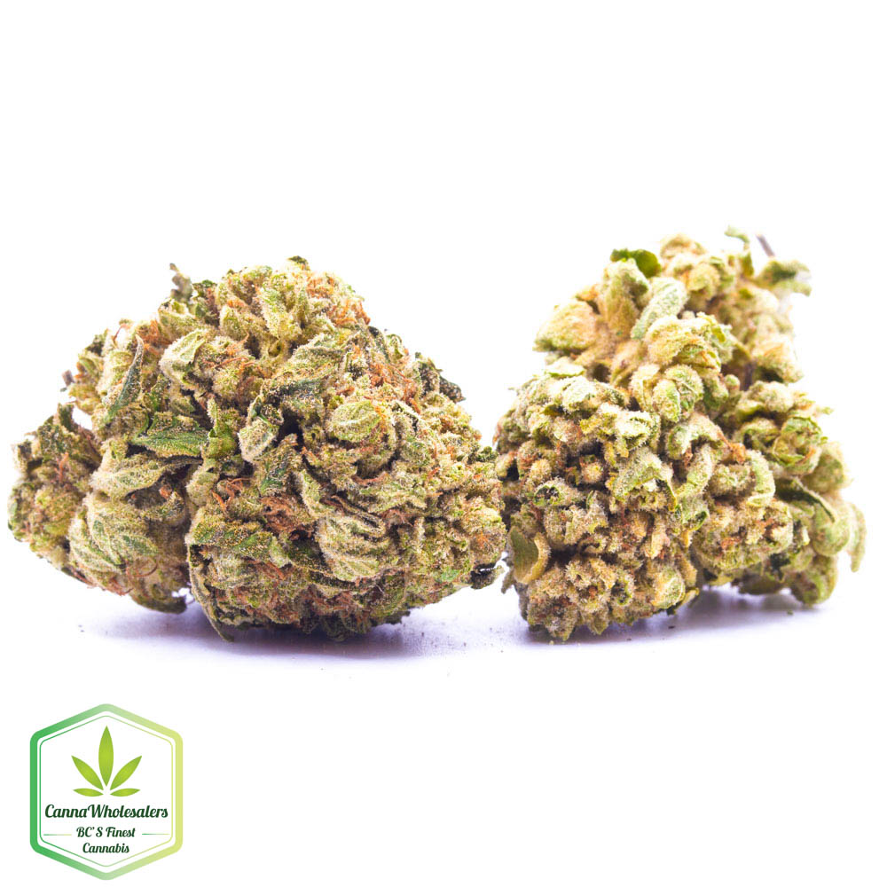 Sugar Kush