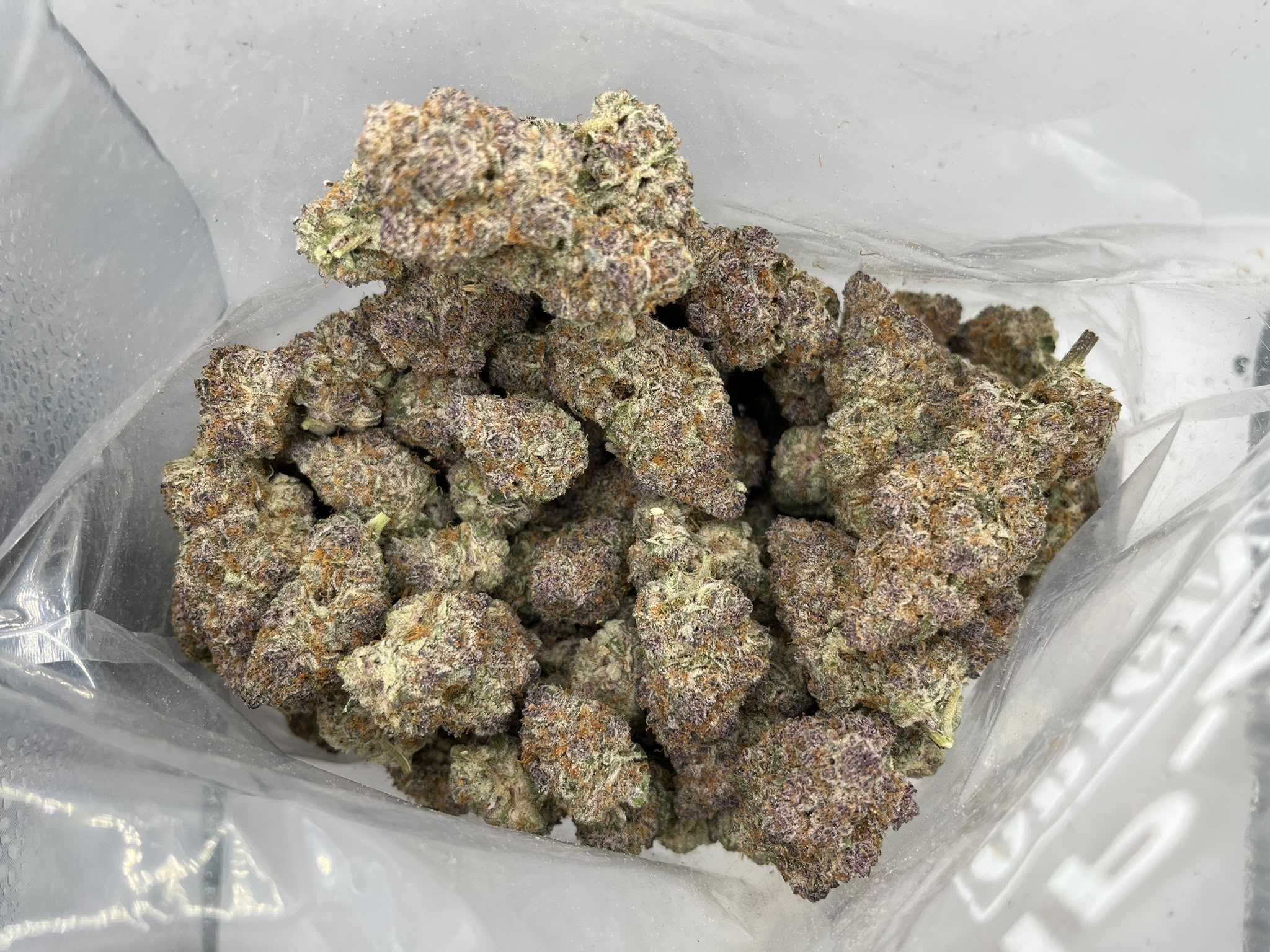 Hightimes Growery – Gobstopper