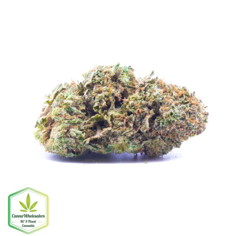 GRiZ Kush