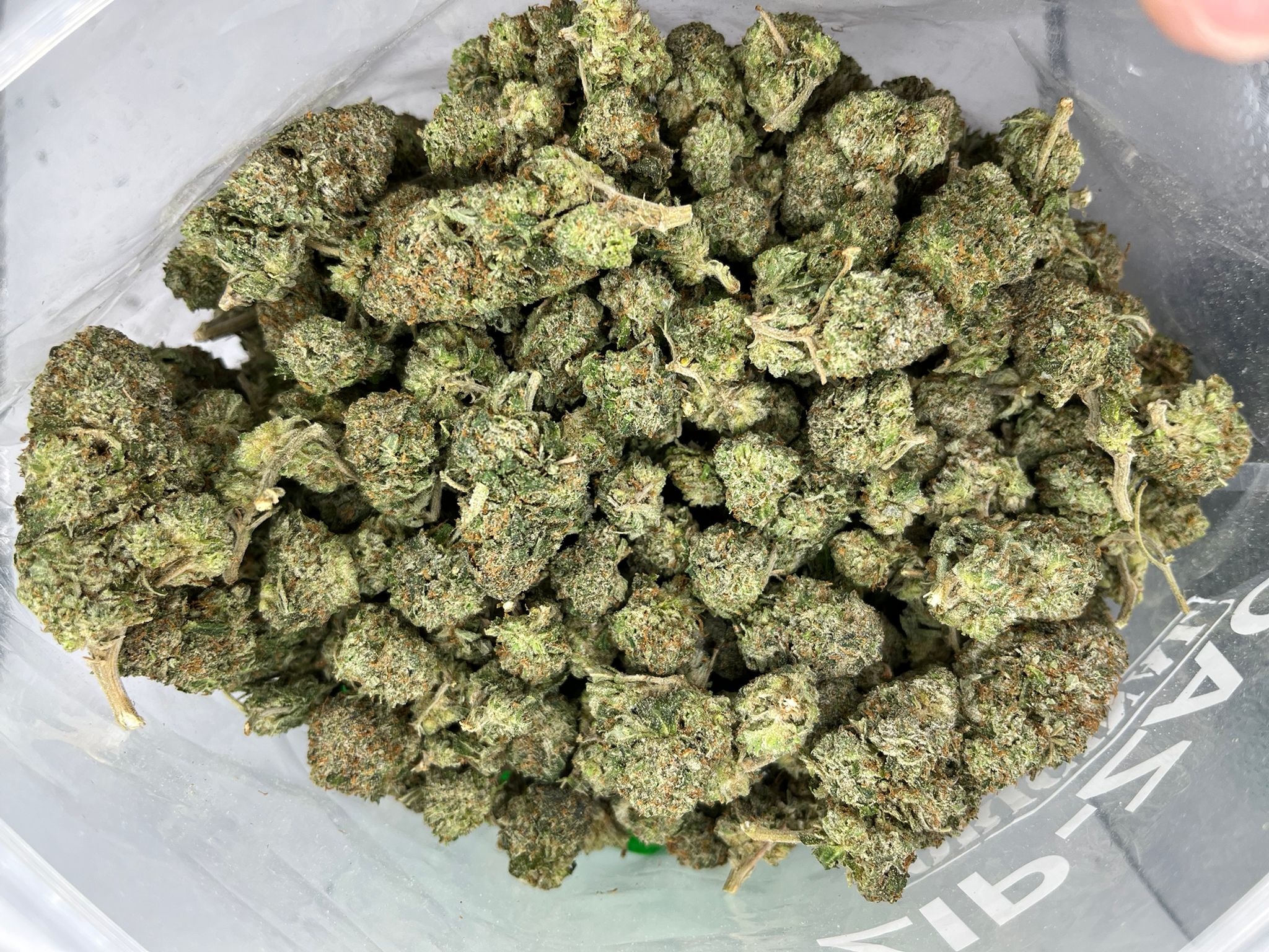 GRiZ Kush