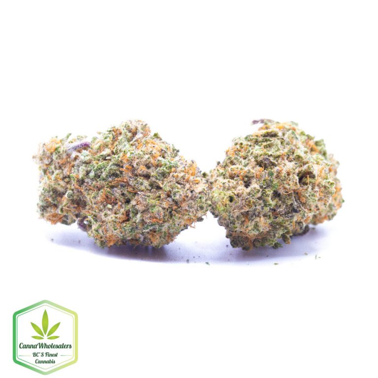 Budget Oz – Rainbow Lava
