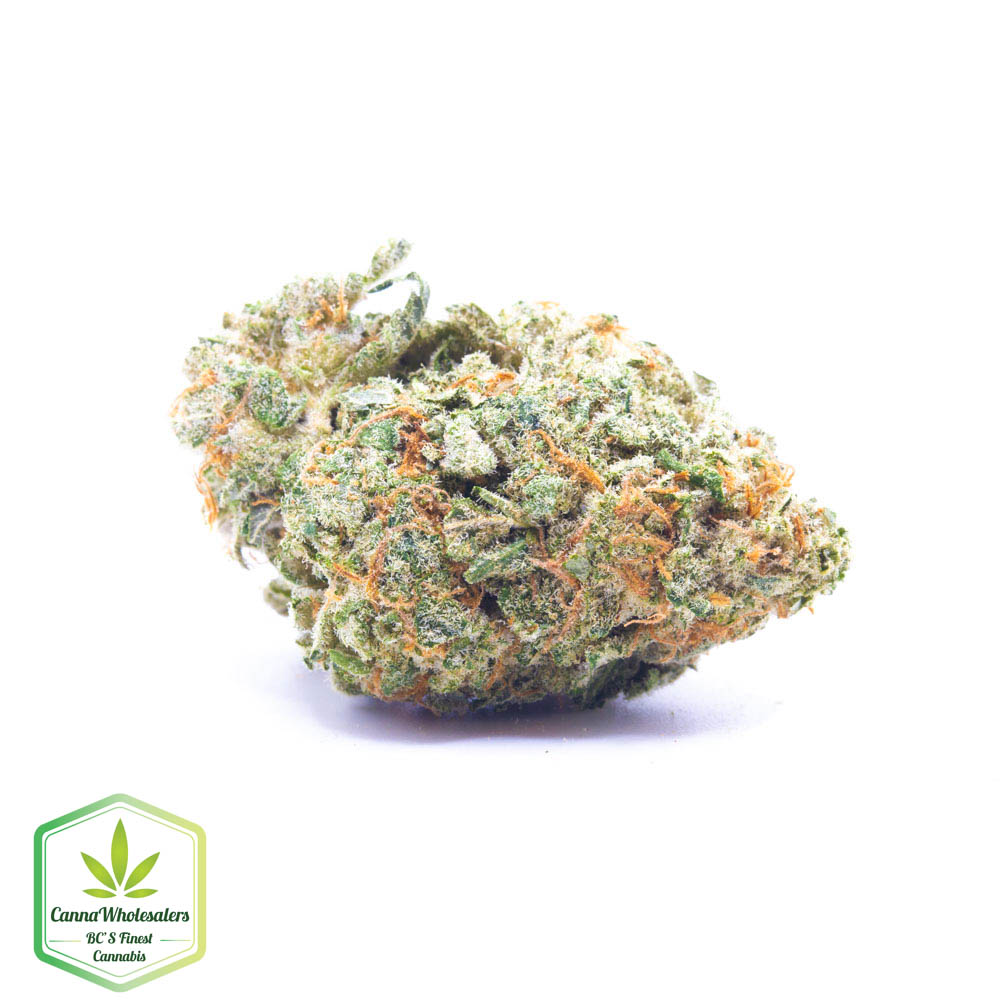 Sour Gorilla
