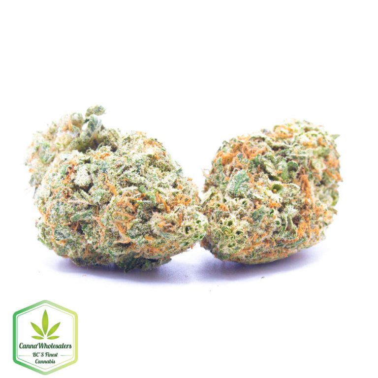 Budget Oz – Sour Gorilla