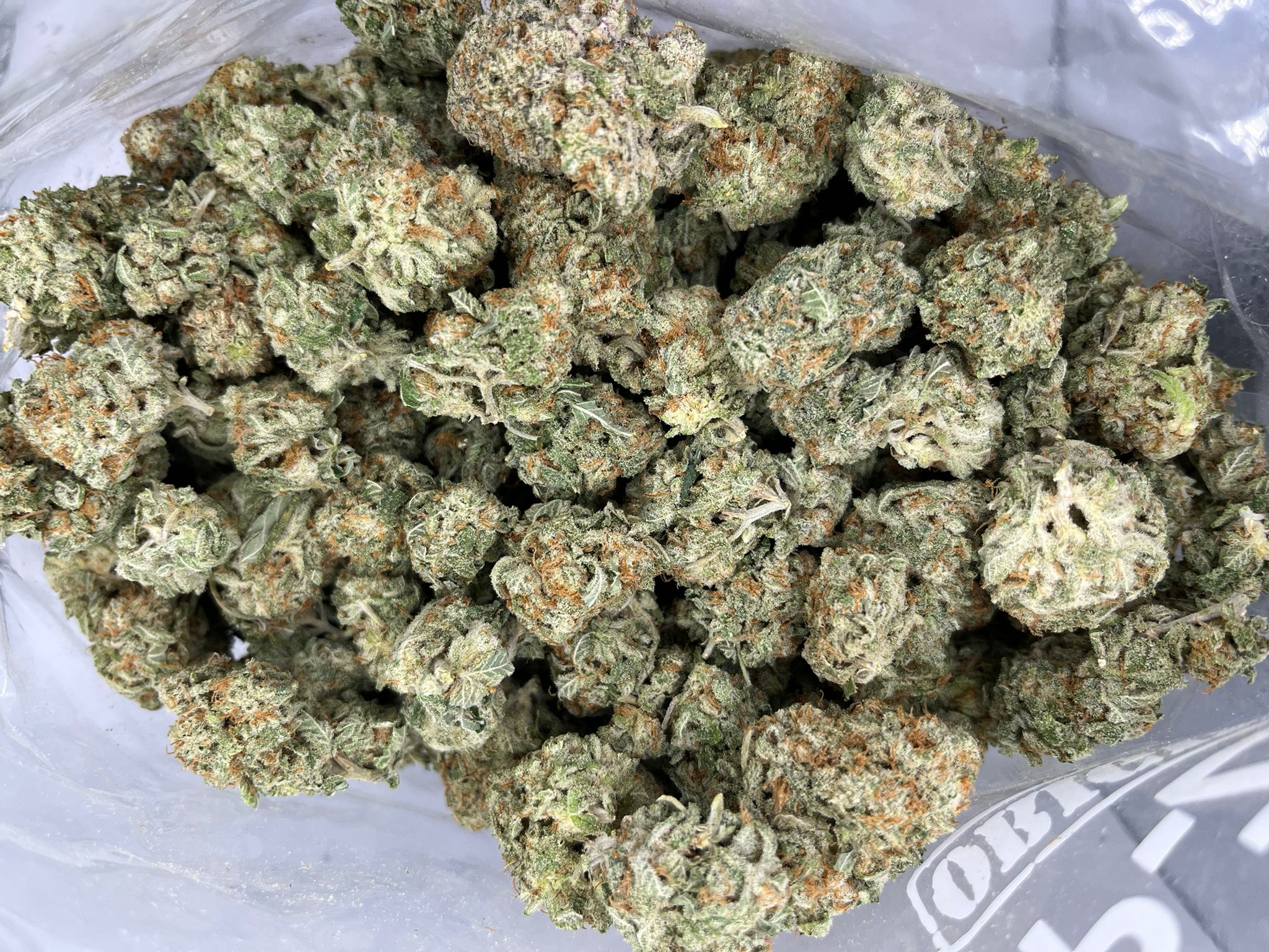 Sour Gorilla