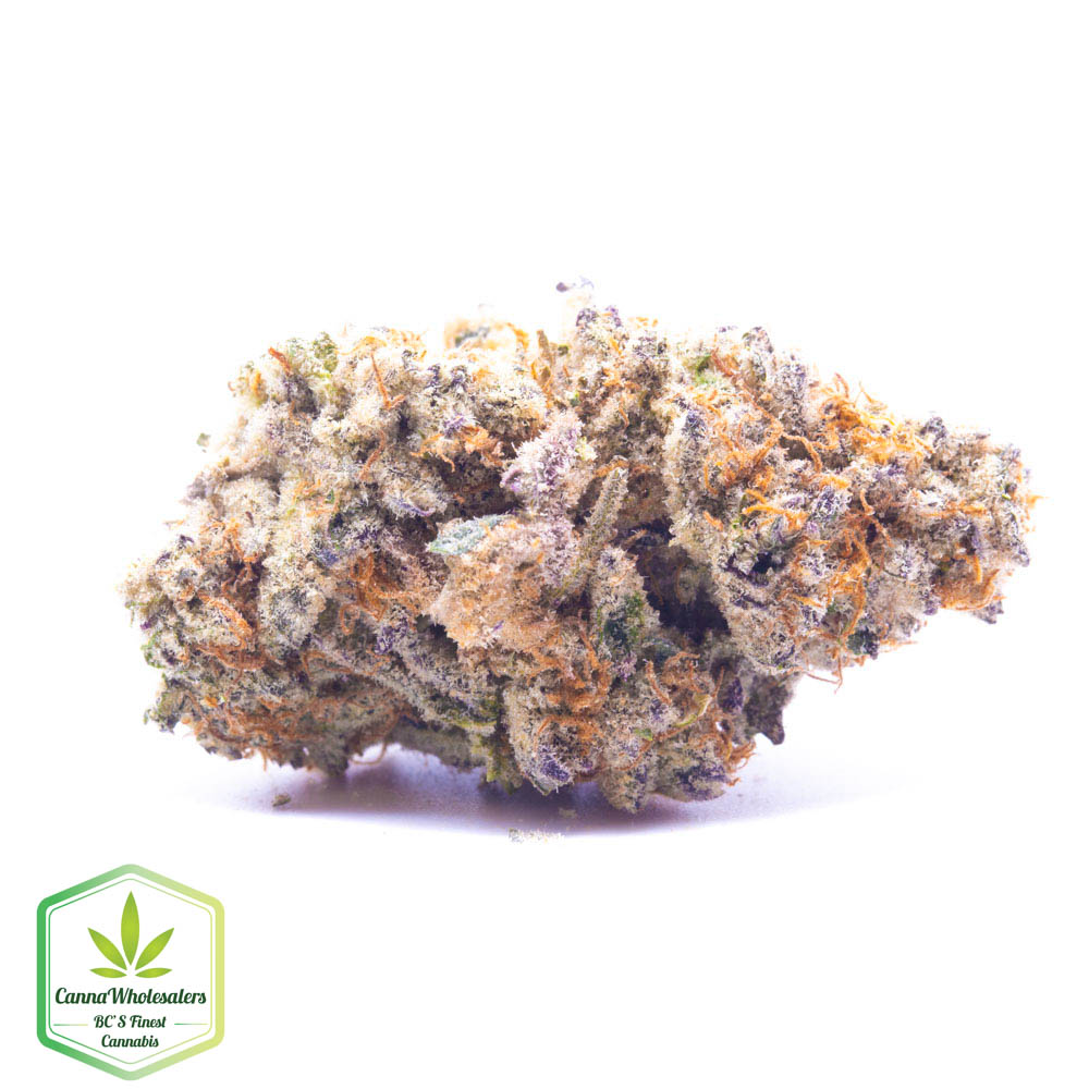 Dubble Tropicana