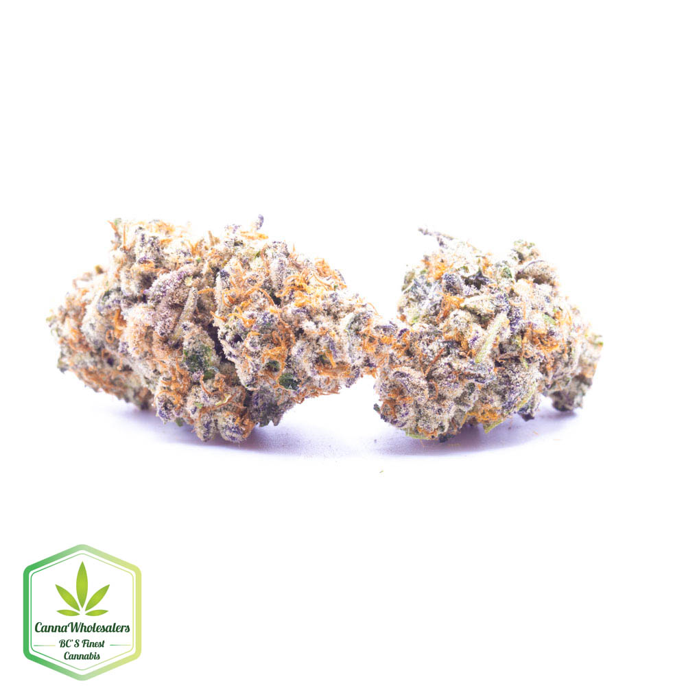 Dubble Tropicana