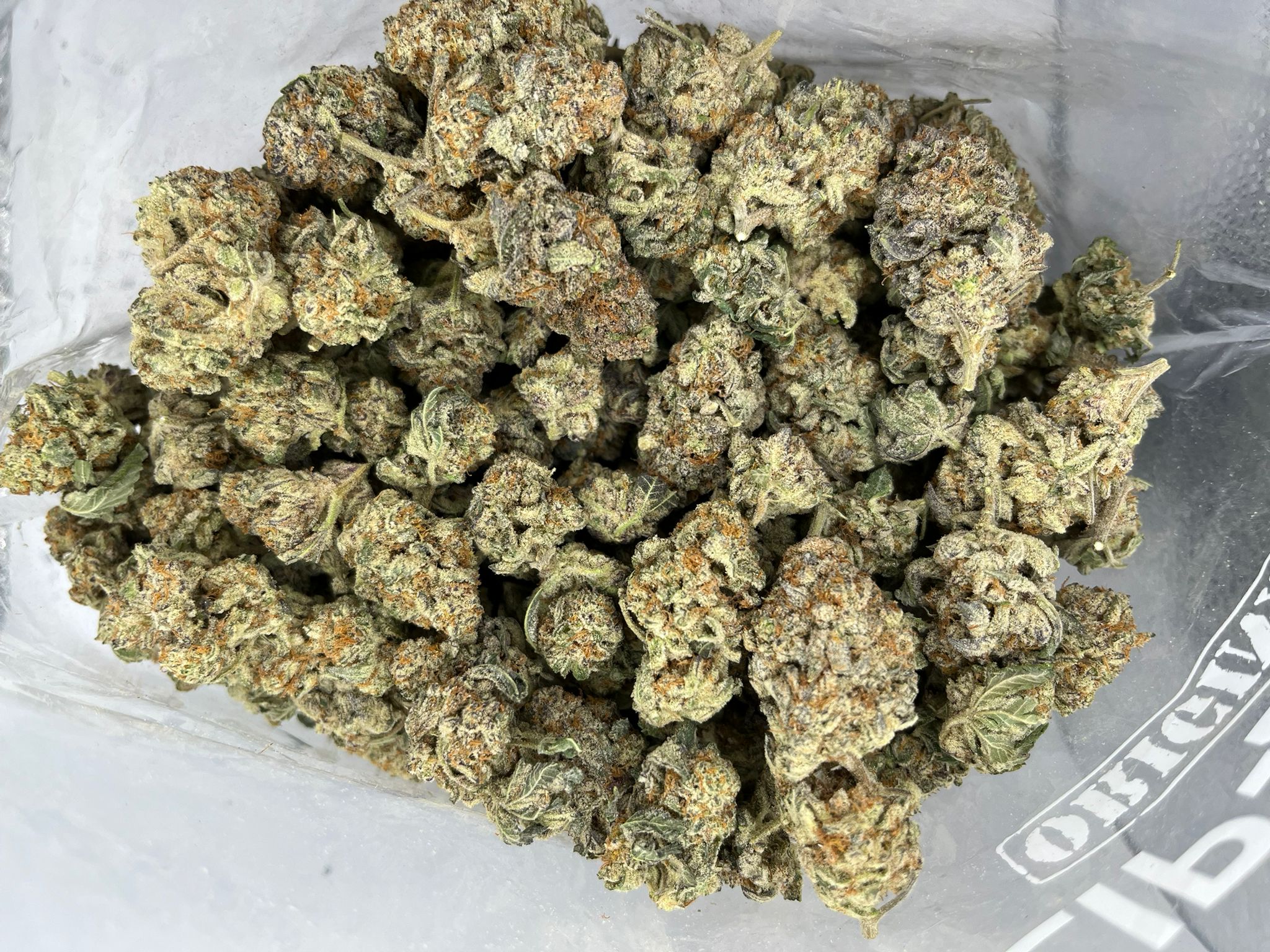 Dubble Tropicana