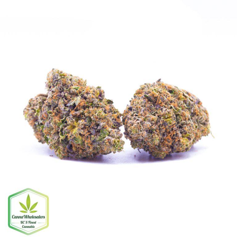 Budget Oz – Pink Champagne