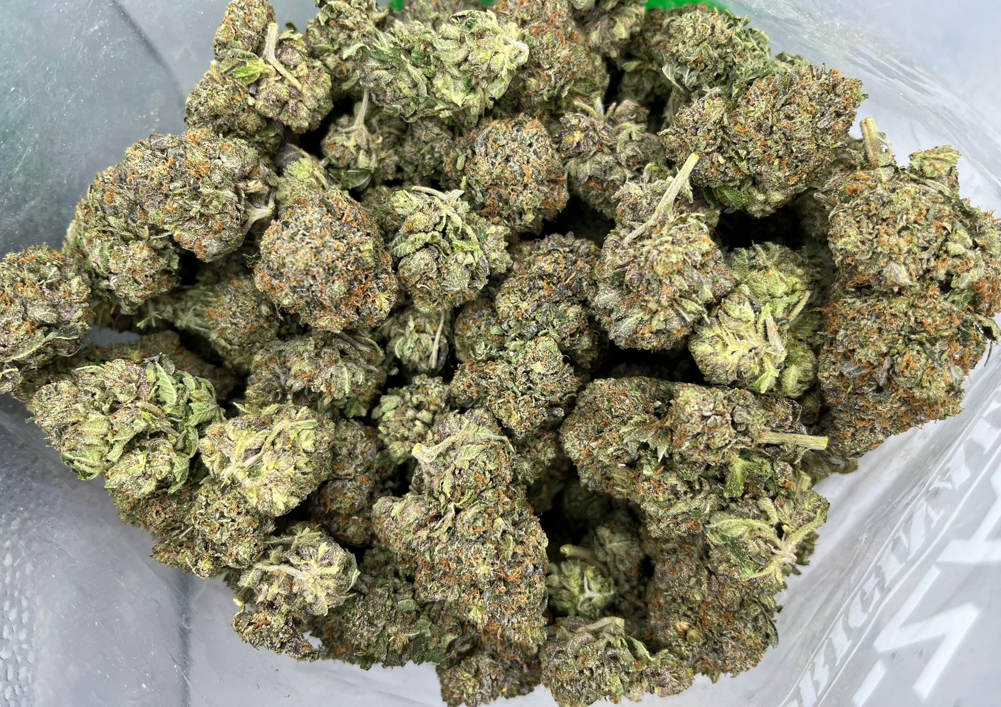 Pink Champagne
